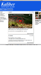 Mobile Screenshot of kaliber.cc